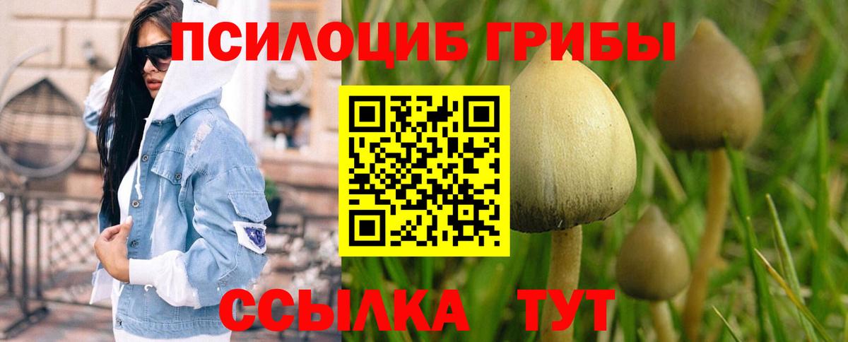 цена наркотик  Галлюциногенные грибы GOLDEN TEACHER  Псилоцибиновые грибы прущие грибы  Вход с VPN  Комсомольск-на-Амуре 